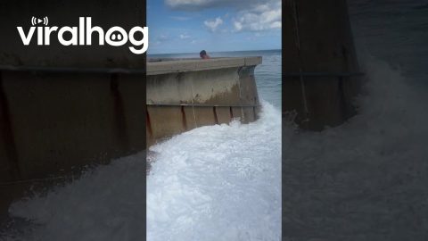 Woman Gets Soaked By Incoming Wave || ViralHog