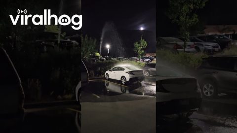 Sprinkler Shows No Mercy to One Unlucky Car || ViralHog