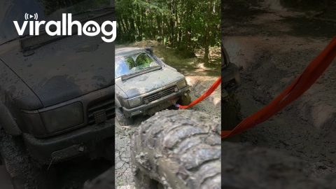 Car Pulled Out Of Deep Mud || ViralHog