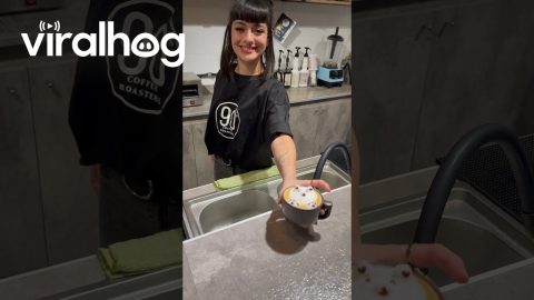 Woman Becomes Sad When Customer Prefers Coffee With No Latte Art || ViralHog