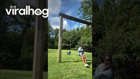 Sudden Fall Out of a Swing || ViralHog