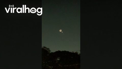 Triple Conjunction || ViralHog