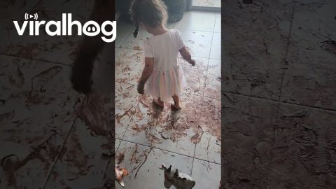 Kiddos Get Into Cake Batter || ViralHog