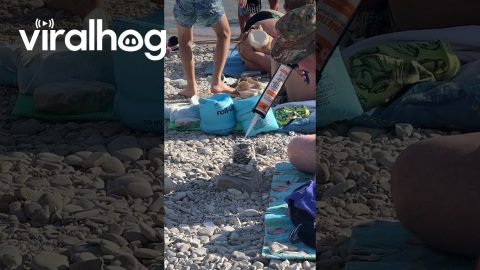 Building a Tower of Stones at the Beach || ViralHog