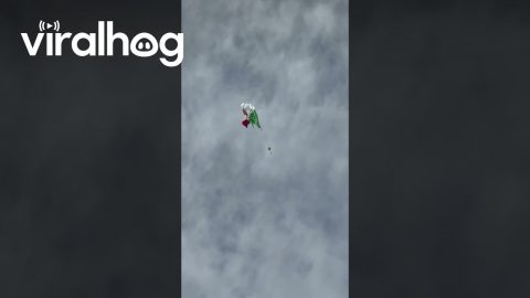 Skydiver Safely Cuts Away From World's Largest Italian Flag || ViralHog