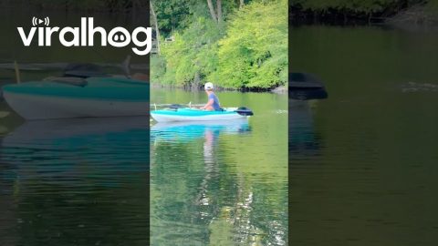 Deer Takes Kayakers By Surprise || ViralHog