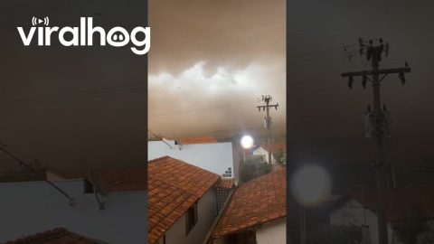 Sandstorm in Brazil || ViralHog