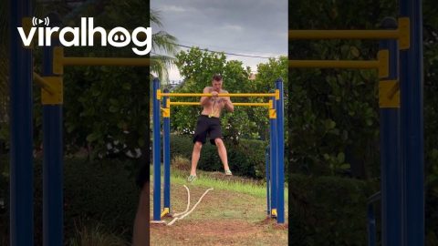 One-Armed High Pull Up || ViralHog