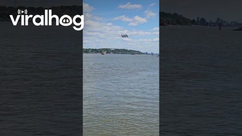 Airbus Beluga Landing in Hamburg, Germany || ViralHog