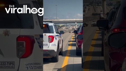 Not Even Houston Traffic Can Stop the Grind || ViralHog