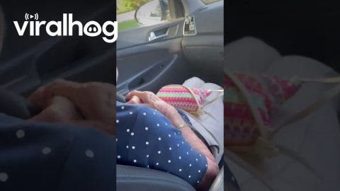 Sneakily Placing Items On Grandmother's Head || ViralHog