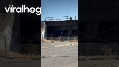 Truck Driver Crushes Load Under Bridge || ViralHog