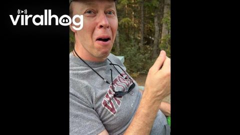 Hungry Chipmunk Steals Boyfriends Snack on Hike || ViralHog