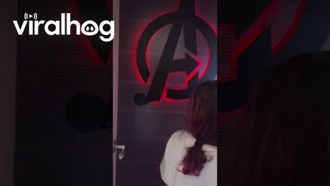 When All Your Nerd Dreams Come True! || ViralHog