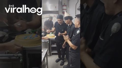 Quick Birthday Wishes During Work || ViralHog