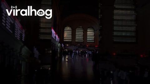 Power Outage at Grand Central Terminal || ViralHog