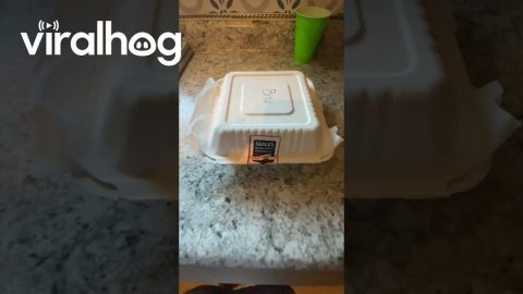 Misplaced Sticker Fails To Keep Food Safe || ViralHog