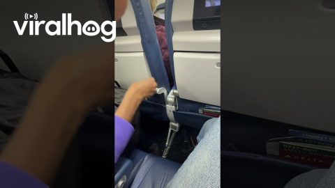Passenger Discards Nut Shells Over Airplane Floor || ViralHog