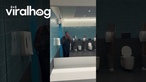 Mirror Mirror in the Stall… Everyone Can See It All || ViralHog