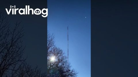 Telecom Tower Demolition || ViralHog