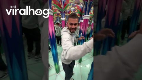 Speed Round Mirror Maze at MetaArtWorld || ViralHog