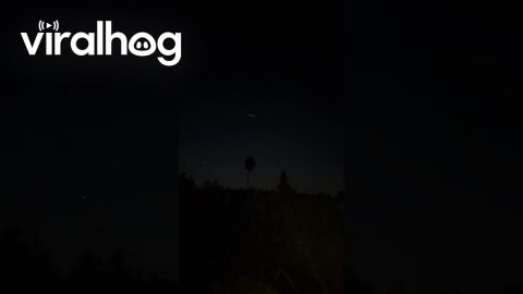 Flying Object Startles Onlookers || ViralHog