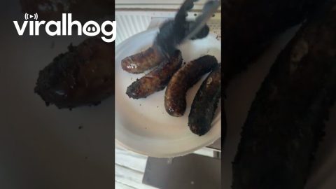 Brats Got A Little Crispy || ViralHog