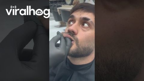 Barber Gets a Little Too Hands-On || ViralHog