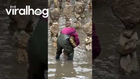 Man Fills River With Perfectly Balanced Stone Towers || ViralHog
