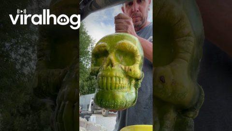 Double Faced Pumpkin Grown in a Mold || ViralHog