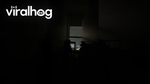 Apartment Creaks and Sways During Windstorm in Melbourne || ViralHog