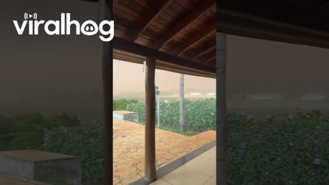 Dust Storm Over Sabino, Brazil || ViralHog