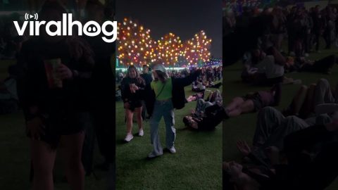 That Music Festival Glow || ViralHog