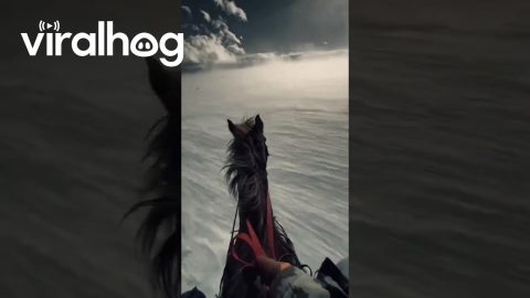 Horse Ride Through the Desert || ViralHog