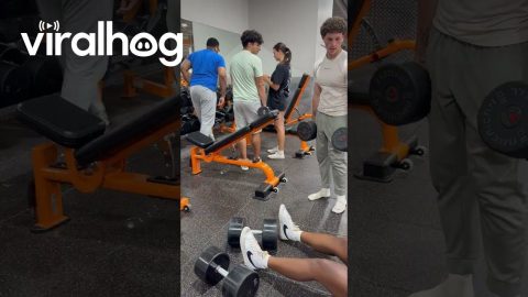 Falling Over Dumbbells || ViralHog