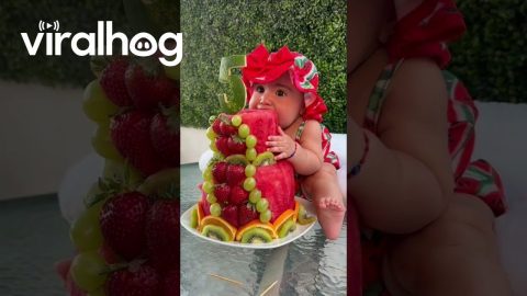 Little Toes Curl In Delight At Watermelon Cake Tasting || ViralHog