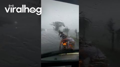 Holding Bikes Down in a Brutal Wind Storm || ViralHog