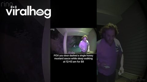 Apologies to the Dasher Who Delivered a Single Sauce to My Door at 1am || ViralHog