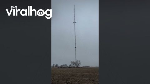 Controlled Tower Demolition Done by Professionals || ViralHog