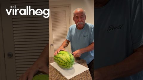 Dad's Watermelon Is All Rind || ViralHog