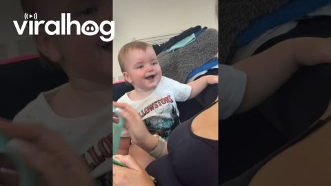 Baby Laughs at His Mom Reading a Book || ViralHog