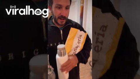 Carrying a Chihuahua in a Bread Bag || ViralHog