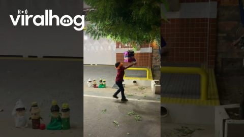 Blindfolded Son Struggles To Strike Pinata || ViralHog