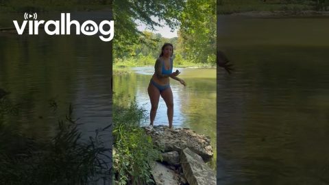 Couple Rescues Cedar Waxwing From Blue River || ViralHog