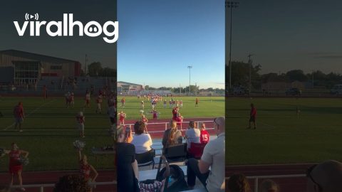 Deer Visits Football Field During Game || ViralHog