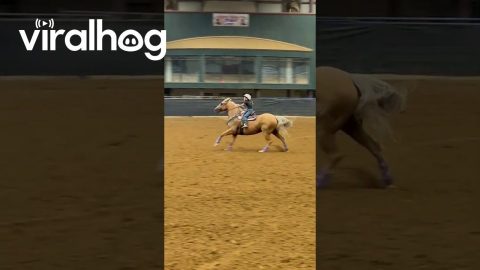 Adolescent Barrel Racer Was Born for This || ViralHog