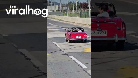 Tiny Classic Car Seen In Chile || ViralHog