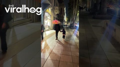 Sidewalk Wipe Out || ViralHog