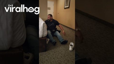 After a Night Out in Las Vegas || ViralHog