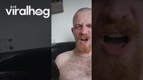 Crow Bites Nose and Gets Scolded || ViralHog